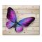 Designart - Violet and Blue Butterfly - Modern Print on Natural Pine Wood
